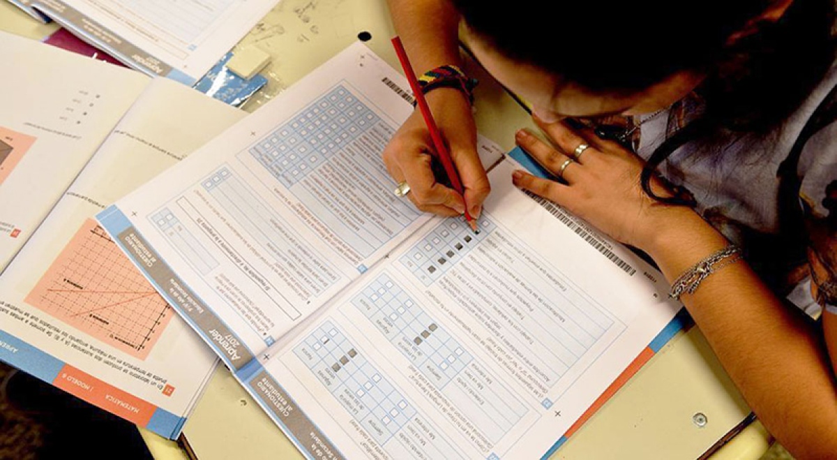 Pruebas Aprender: revelaron los resultados de tercer grado