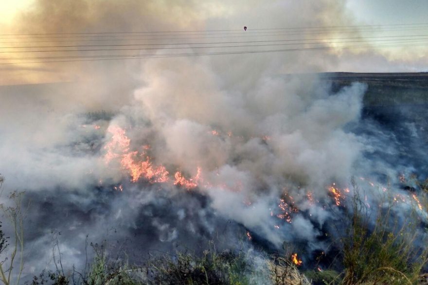 El fuego ya arrasó con cuatro mil hectáreas en Sierra de la Ventana y todavía no está controlado
