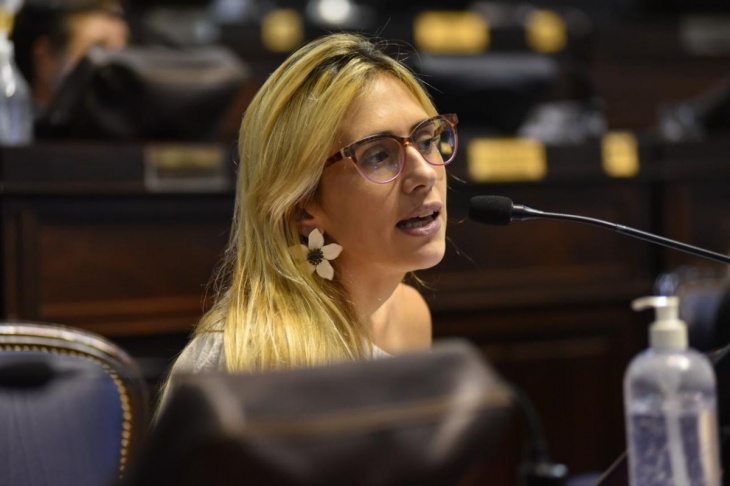 Johanna Panebianco, diputada de Juntos.