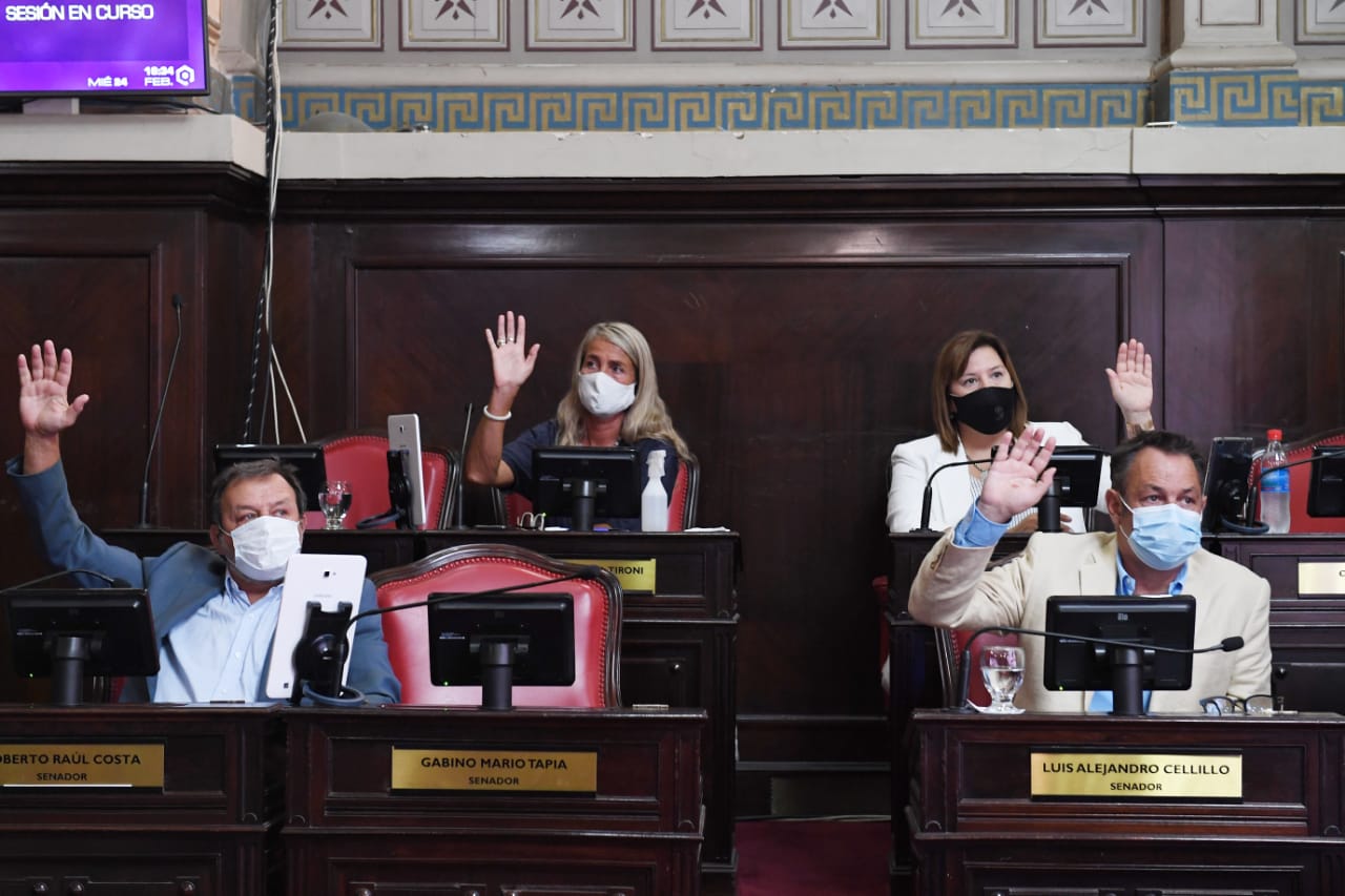 Legisladores del bloque de Juntos en el Senado bonaerense. 