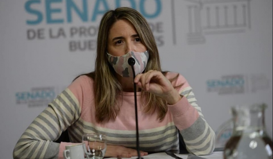 La senadora Flavia Delmonte.