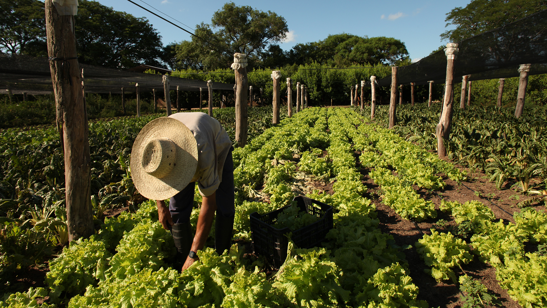 El proyecto busca ampliar en la provincia una ley marco para la implementación de Buenas Prácticas Agropecuarias.