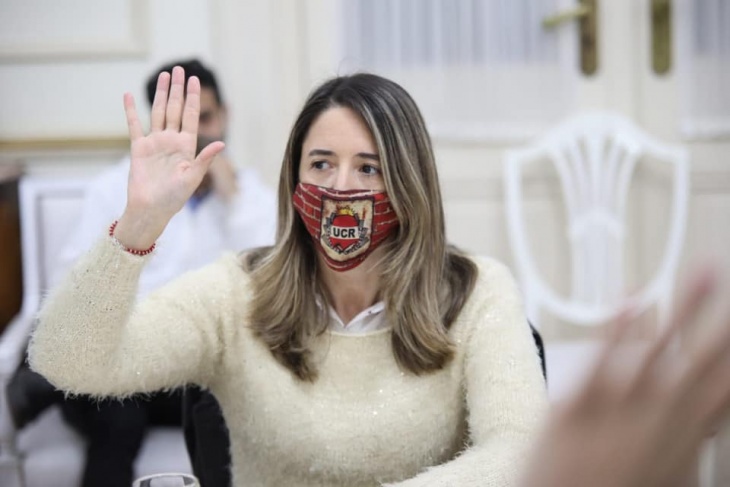 Flavia Delmonte, senadora de Juntos.