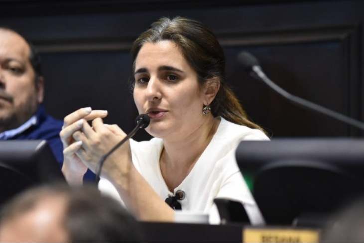 La diputada de la Coalición Cívica, Maricel Etchecoin, apuntó contra la administración nacional por el cierre del Hospital Bonaparte. 
