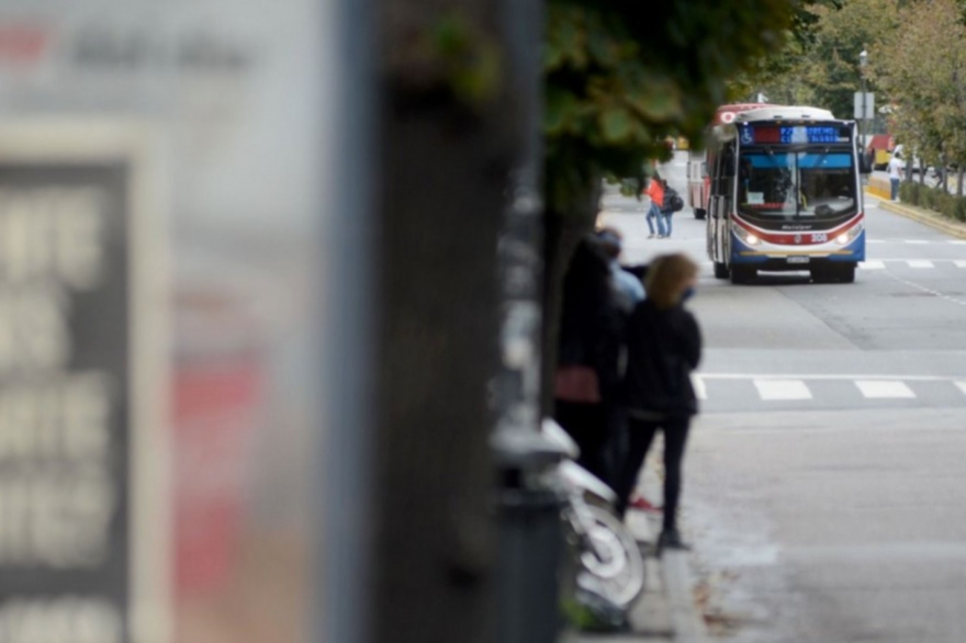 Paro de micros: se normaliza el servicio de colectivos en La Plata ...