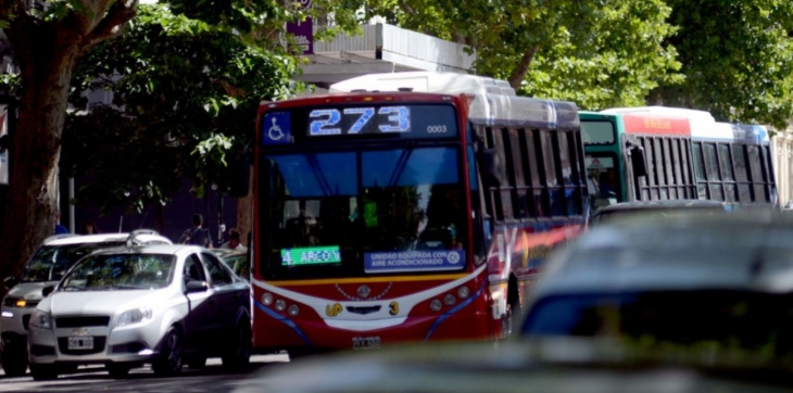 Paro de micros: se normaliza el servicio de colectivos en La Plata ...