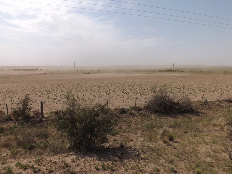 INTA advirtió que frente a las sequias de Patagones y Villarino, al sur de la provincia, la erosión de los suelos podría significar un riesgo de incendios en el verano.

