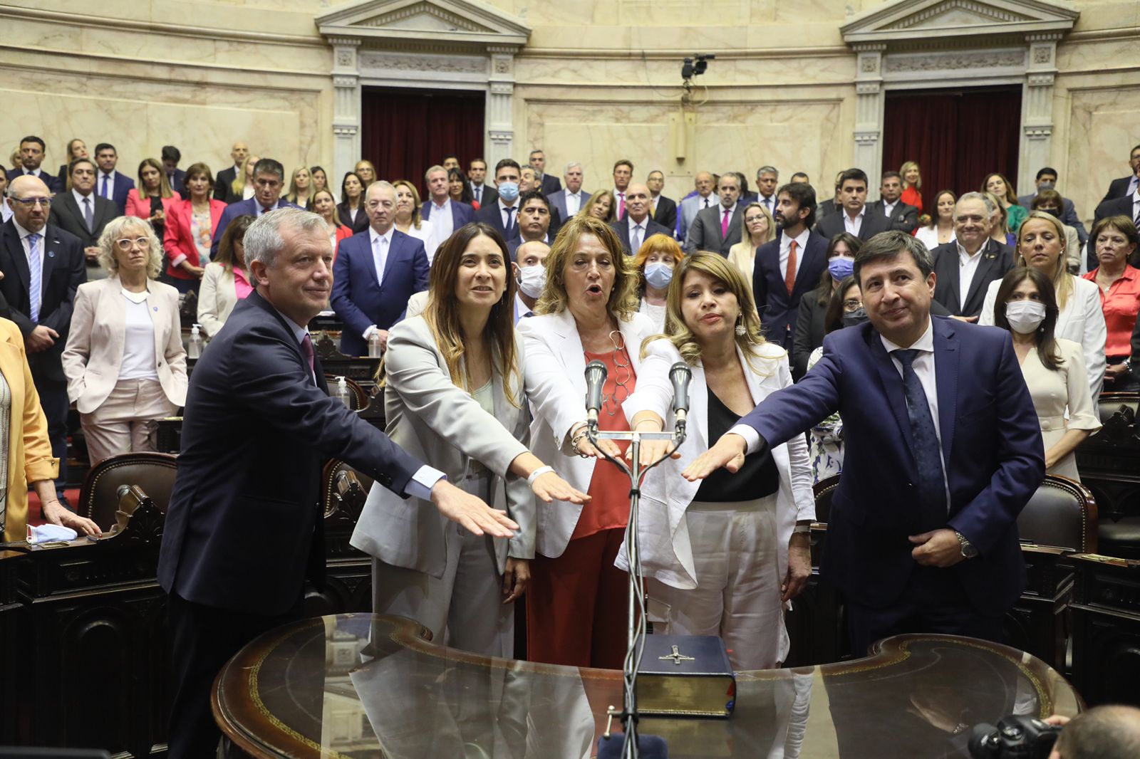 Gabriela Besana al momento de la jura como diputada nacional.