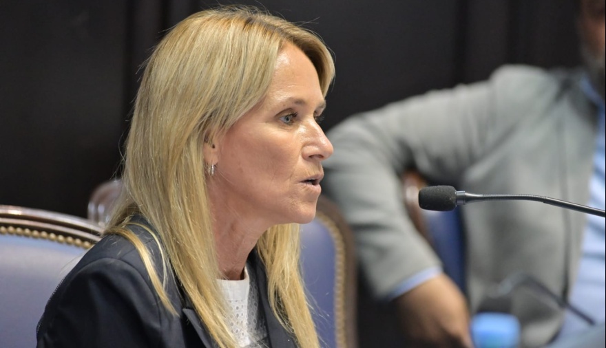 La ex diputada bonaerense Carolina Barros Schelotto se podría quedar con un lugar en la Defensoría del Pueblo bonaerense. 