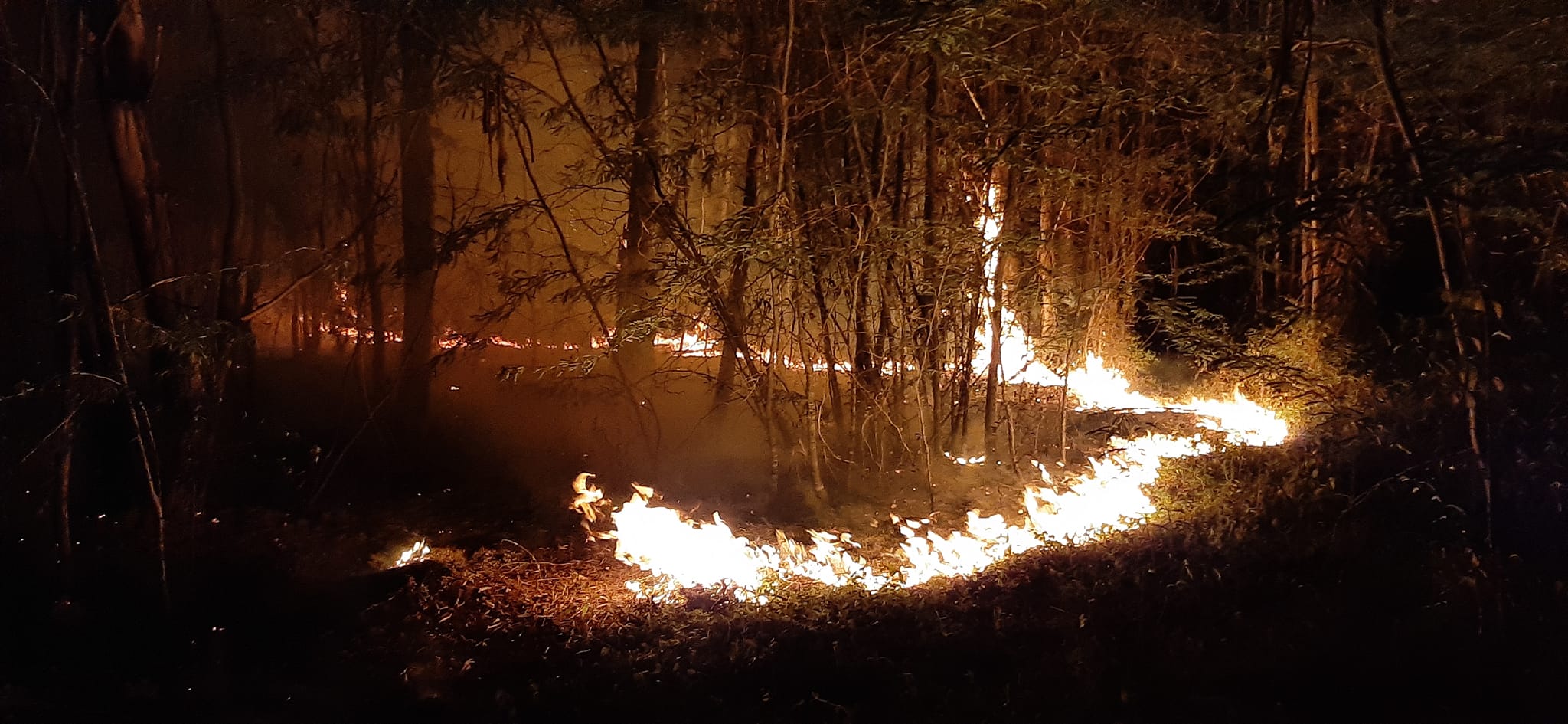 El incendio se extendió por 150 hectàreas del Parque Preyra Iraola. 