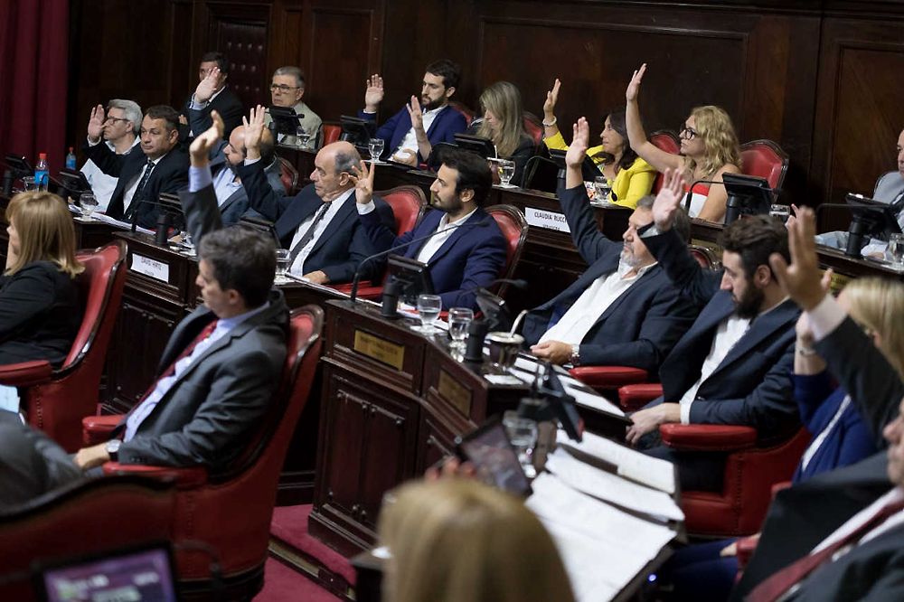 Más allá de la pertenencia política que tenga, quien se quede con la jefatura del bloque de Juntos en el Senado bonaerense tendrá un conjunto de desafíos que pondrán a prueba si el traje le calza a medida o, por el contrario, le queda grande. Cuáles son las discusiones que deberá encarar el nuevo titular de bancada.