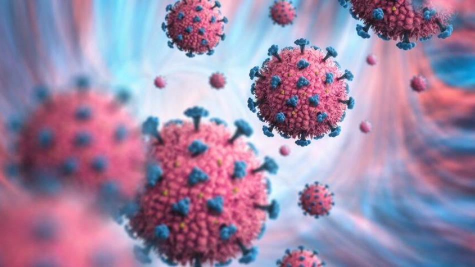 Estudian la contagiosidad del sublinaje BA.2, derivada de la variante Ómicron