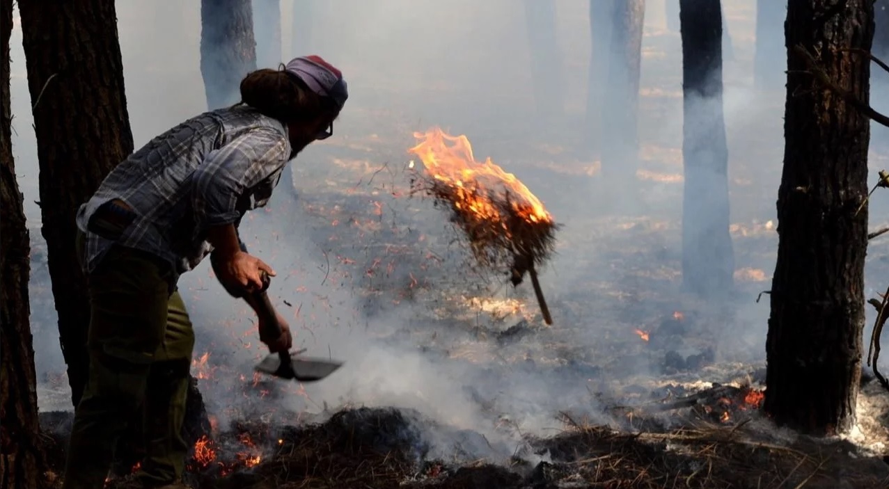 El incendio en Miramar avanzó sobre unas 40 hectáreas el Bosque Vivero Municipal “Florentino Ameghino”. Las postales de una jornada desoladora.