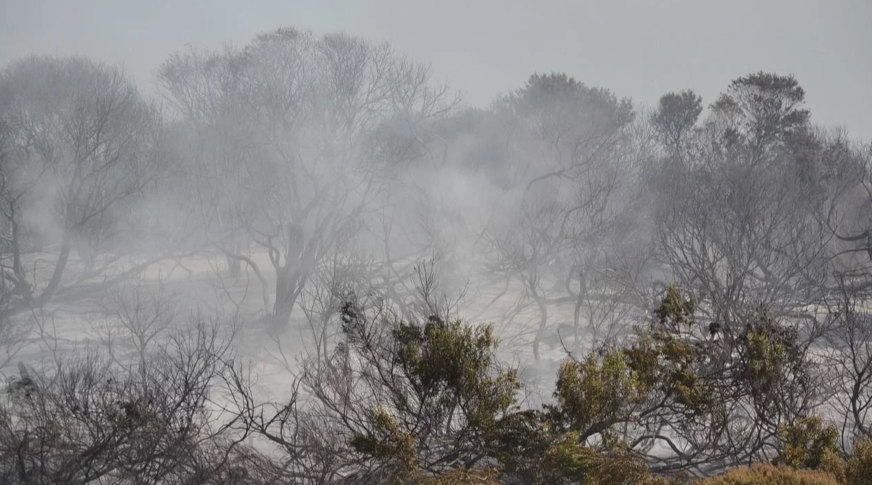Postales del incendio en Miramar.