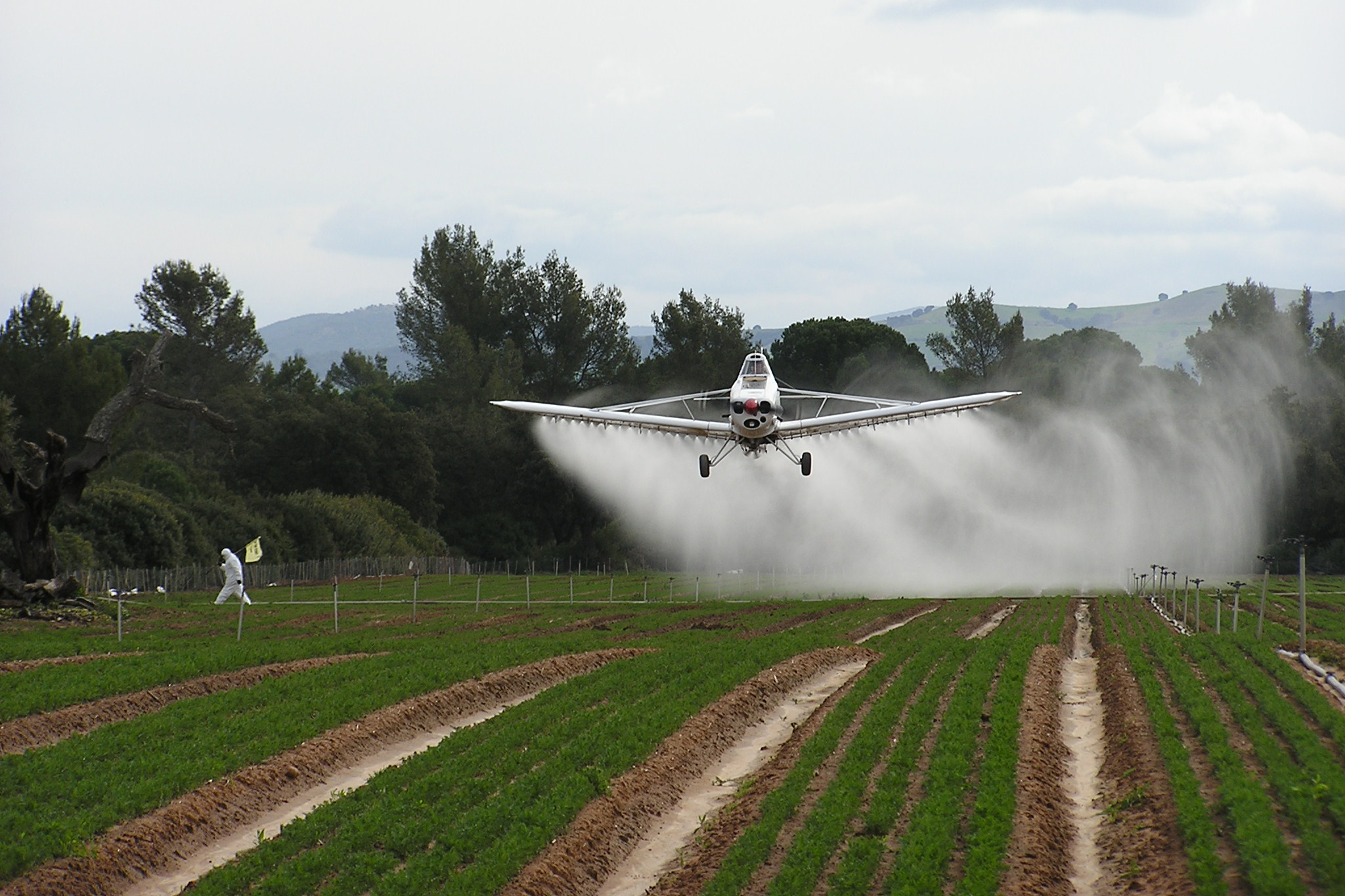 Existen varias denuncias sobre intoxicación con agrotóxicos en Pergamino