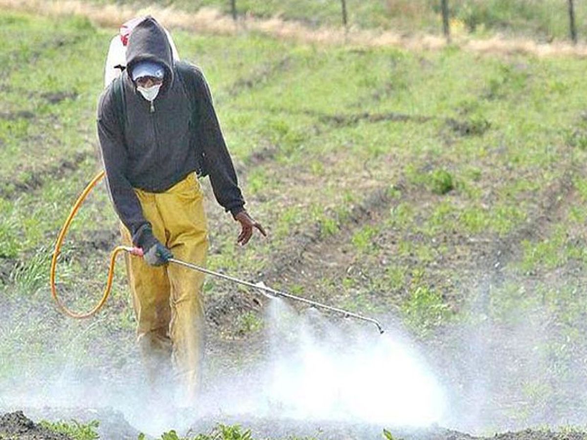 Los trabajadores intoxicados en Pergamino no poseían los elementos de protección correspondientes
