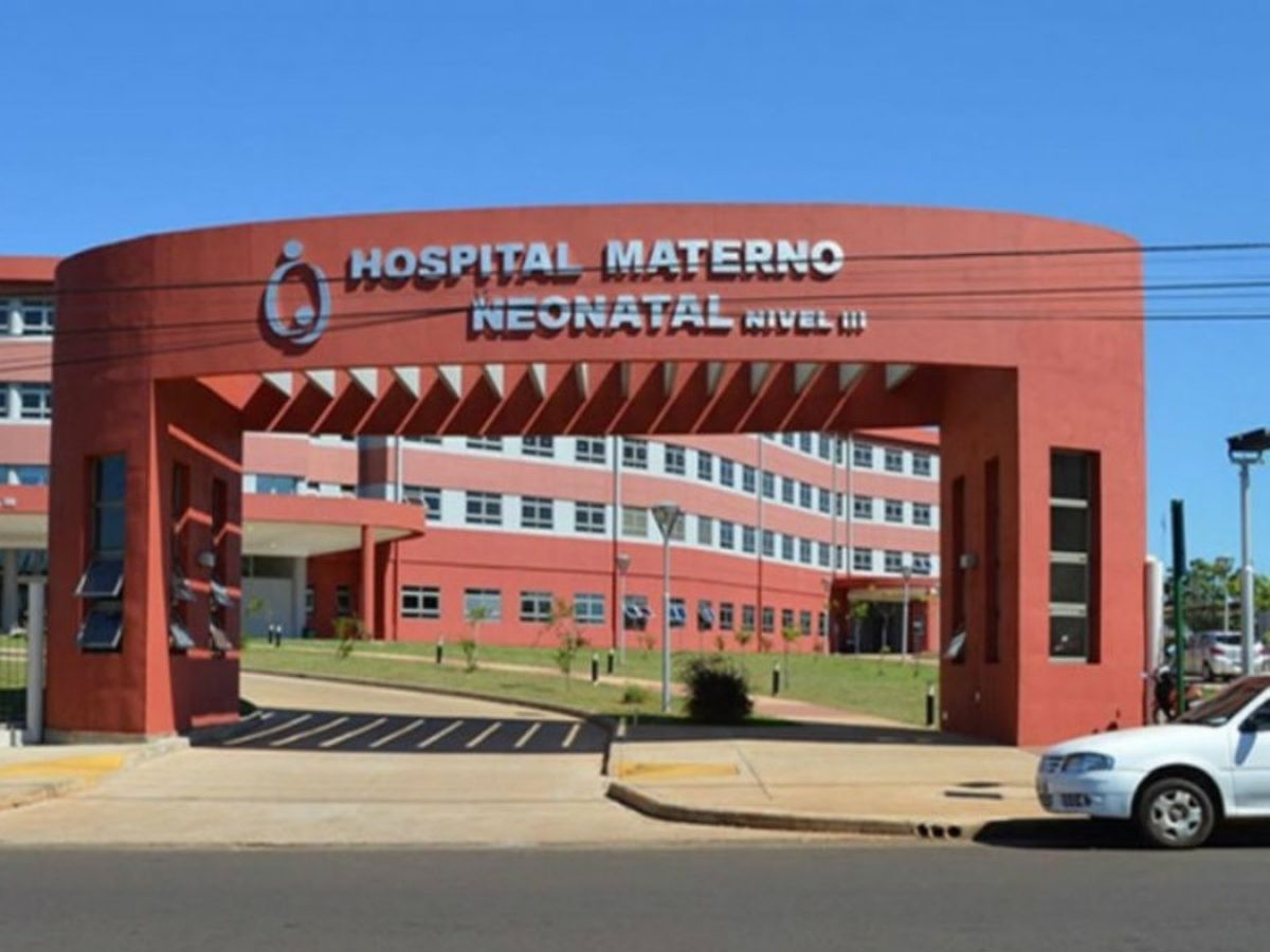 Dos nenas fueron internadas en el Hospital Posadas con mordeduras del Pitbull.