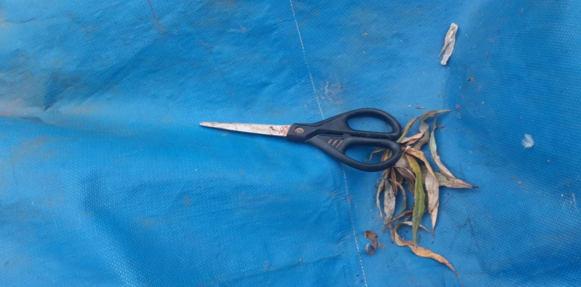 Ensenada: una mujer sorprendió a su pareja abusando de su hija y lo ...