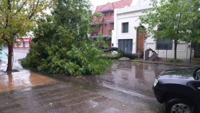 Defensa Civil de Bahía Blanca y Mar del Plata recomendaron a sus habitantes no salir a la calle.