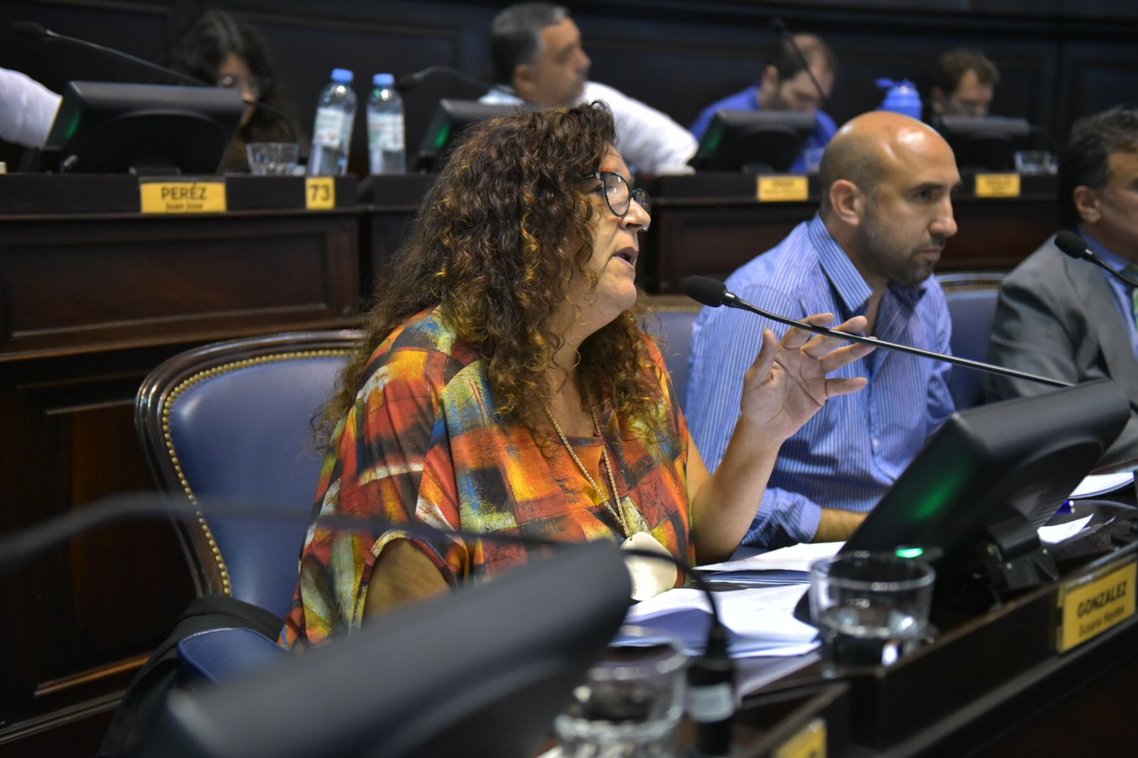 Desde la bancada del Frente de Todos le reprocharon a los legisladores de Juntos el “blindaje” con el que cuenta el procurador Conte Grand en la Legislatura bonaerense.