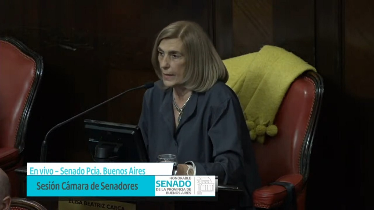 La senadora de la Coalición Cívica, Elisa Carca, agradeció al colectivo que luchó por la Ley de Identidad de Origen. 