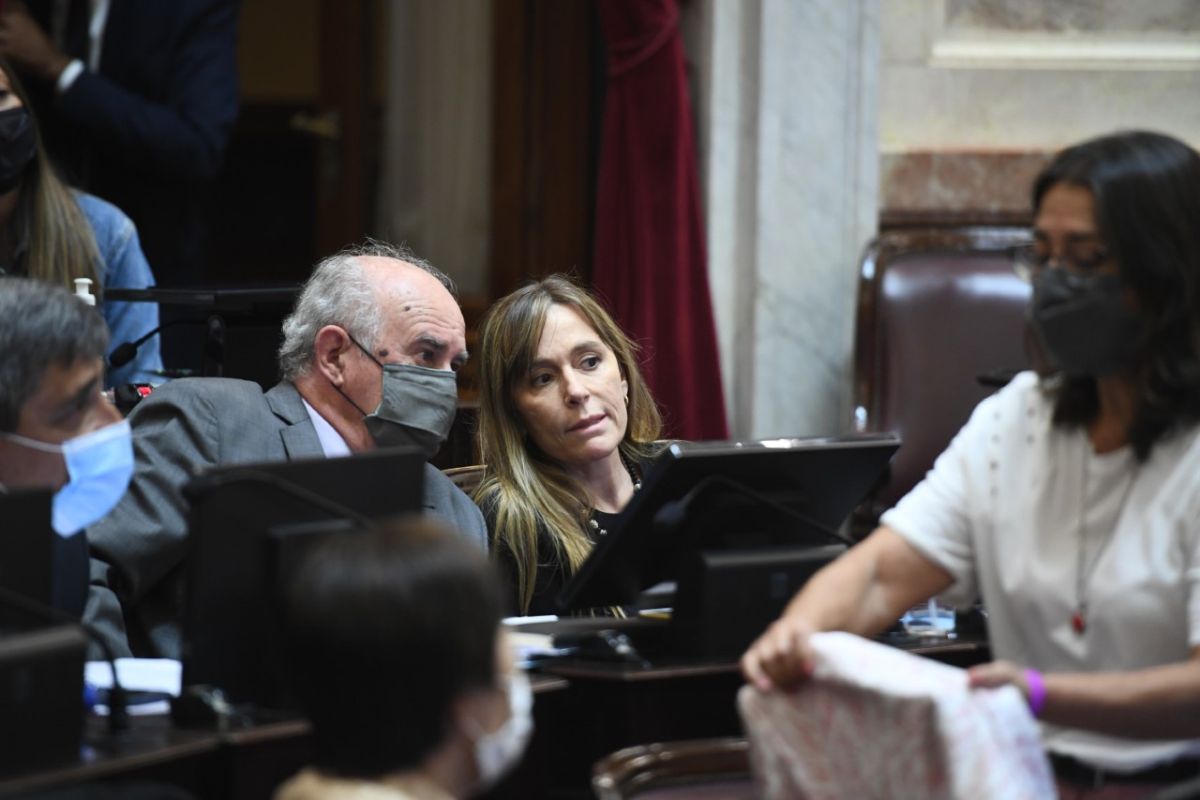 Juliana Di Tullio y Oscar Parrilli, autores del proyecto que propone pagar la duda con el FMI con fondos fugados. 