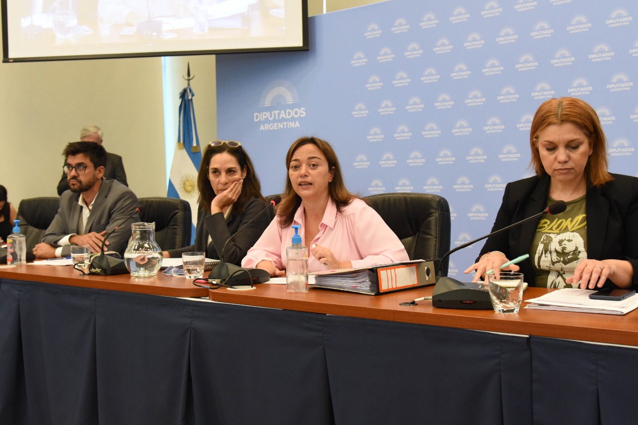 Nueva ley de alquileres. Una de las reuniones informativas que realizó Diputados la semana pasada.