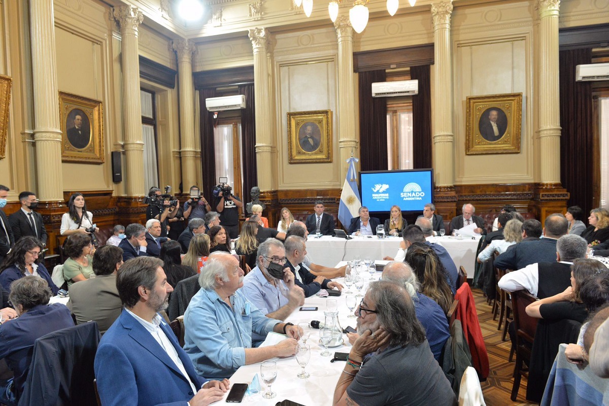 Sindicalistas apoyaron del proyecto de los senadores de Frente de Todos para el Fondo Nacional para la cancelación de la deuda con el FMI
