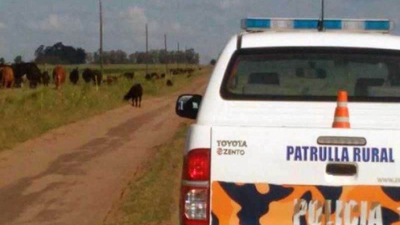 Mil efectivos se egresarán como agentes de la primera camada de la Policía Rural