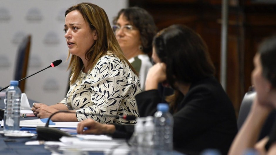 La comisión de legislación en Diputados será presidida por la diputada del Frente de Todos, Cecilia Moreau.