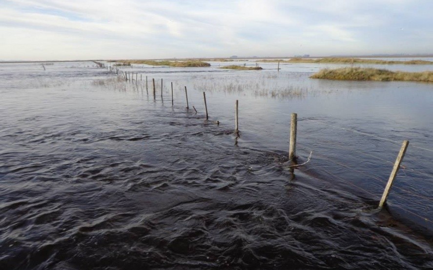 Por las inundaciones, prorrogaron la emergencia agropecuaria en Trenque Lauquen 
