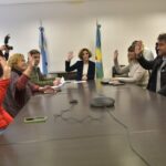 Las comisiones de Servicios Públicos y Discapacidad pusieron primera en Diputados