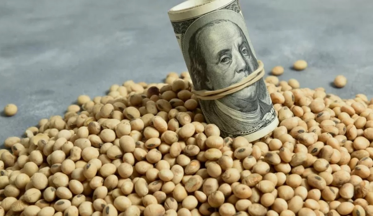 Desde que entró en vigencia el dólar soja 3 el agro liquidó más de USD 1.659 millones. Sin embargo, no cumplió la expectativa que el Gobierno tenía para esta fecha.