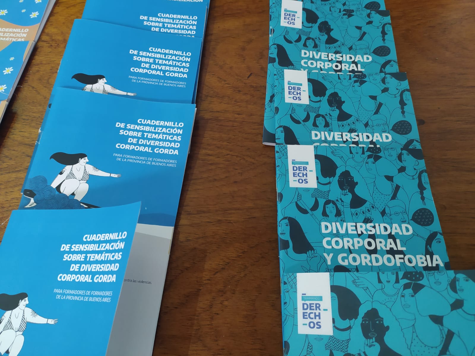 Tramando Derechos ofrece material de capacitación para mujeres y personas LGTBI+.