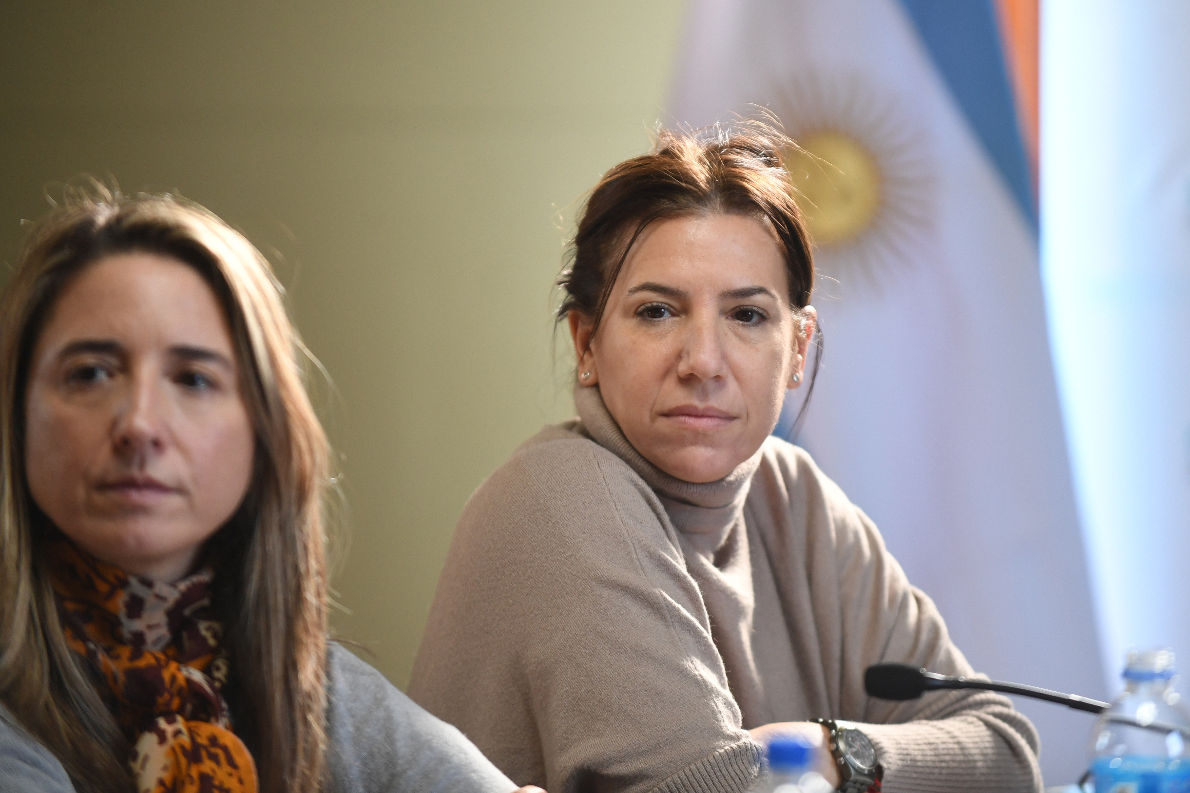 Inquilinos. La senadora Daniel Reich dijo que Juntos “no tiene una posición definida”. 