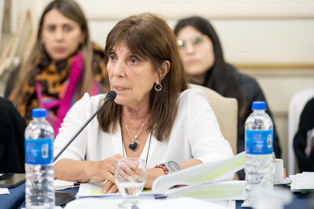 Boleta única: la jefa del bloque del Frente de Todos, Teresa García, sostuvo que es "una discusión de oportunismo político". 