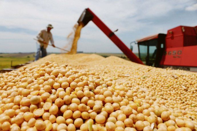 Para 2022, el maíz alcanzaría exportaciones por USD 9.361 millones.
