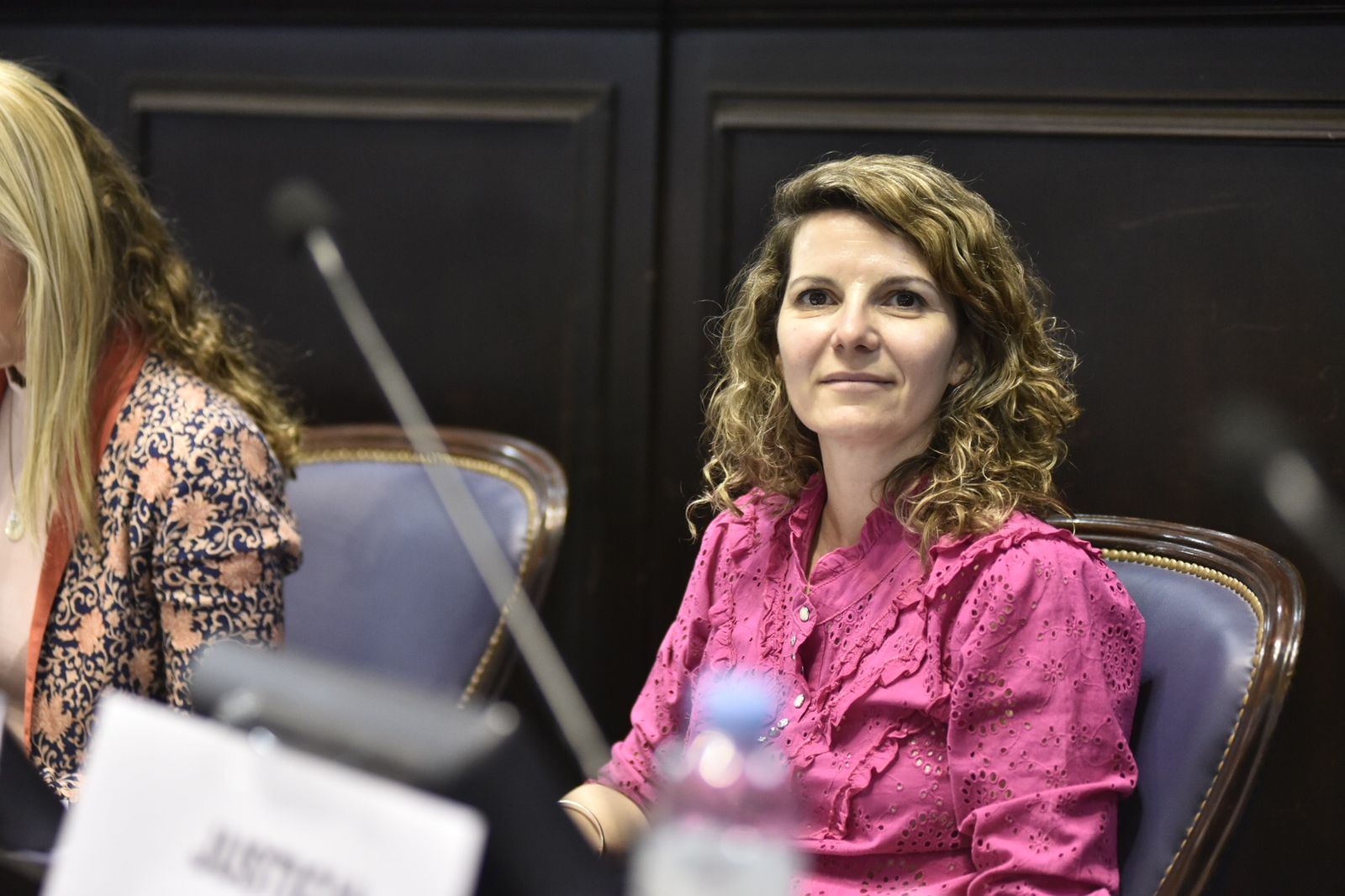 La Cámara de Diputados bonaerense dio media sanción a un proyecto de la legisladora Natalia Dziakowski que obliga a las empresas que presten servicios o vendan productos por internet o manera telefónica a facilitar los procesos de baja o desconexión a los usuarios de la provincia de Buenos Aires.