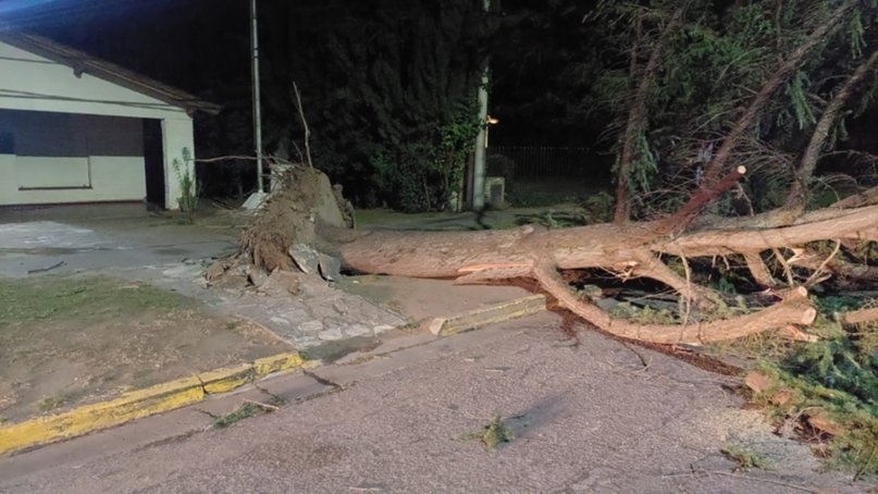 El temporal en Bahía Blanca causó destrozos en la ciudad.