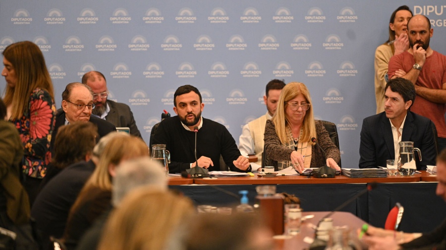 El presidente de la comisión de Recursos Naturales de la cámara de Diputados, Leonardo Grosso, anunció la decisión de pasar a un cuarto intermedio para la firma el dictamen de mayoría.