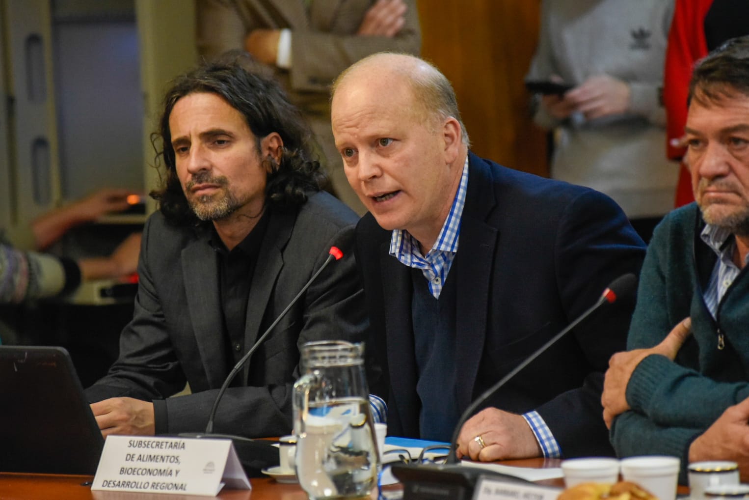 La cámara de diputados nacional fue escenario de la jornada “economías regionales, estado de situación y potencialidades”. Mira el video.