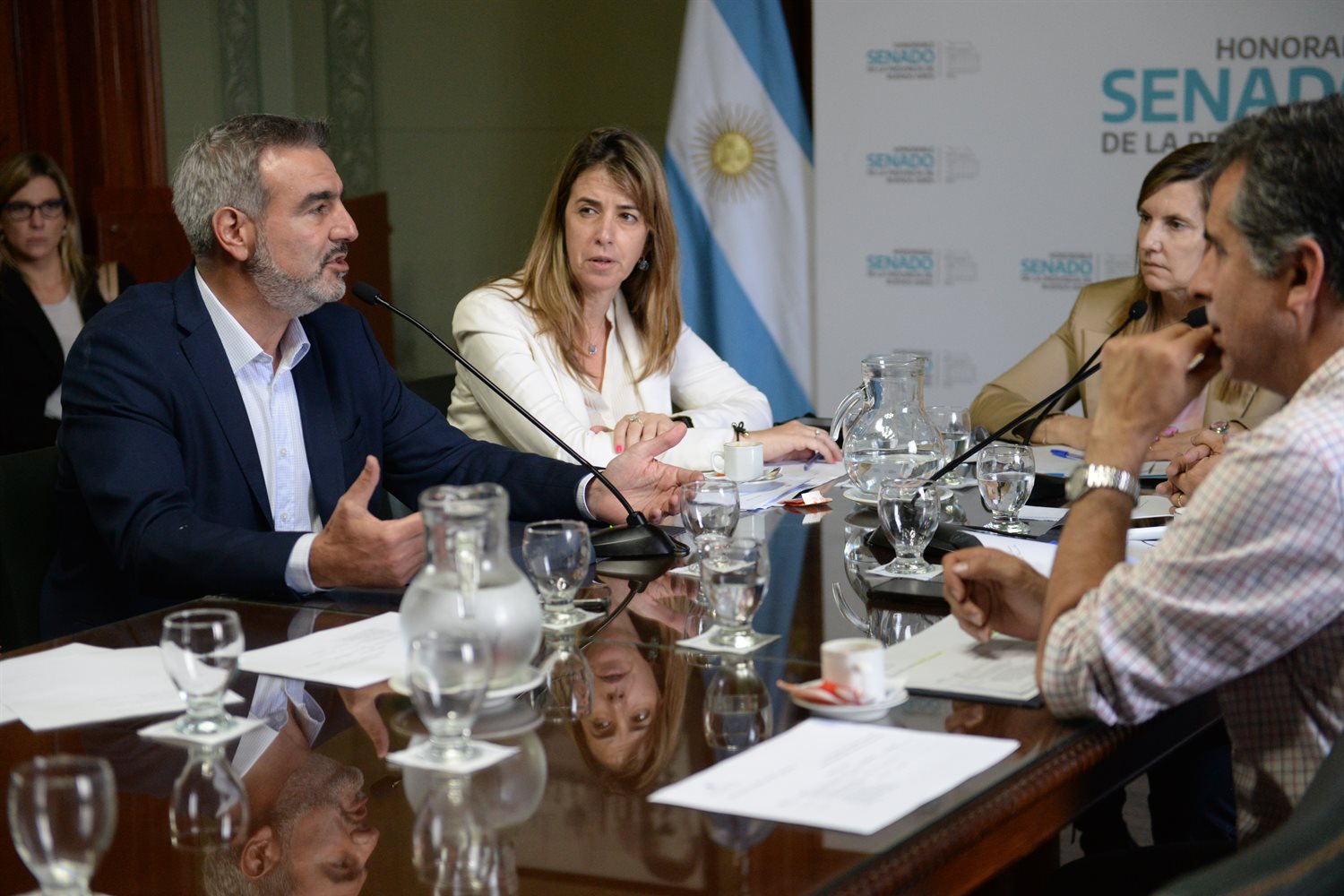 Demaría es además es presidenta de la Comisión de Usuarios y Consumidores del Senado.