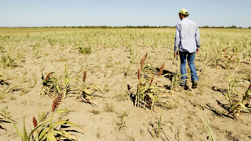 El Gobierno bonaerense reunirá a la Comisión Provincial de Emergencia y Desastre Agropecuario para dar respuesta al campo por la sequía.