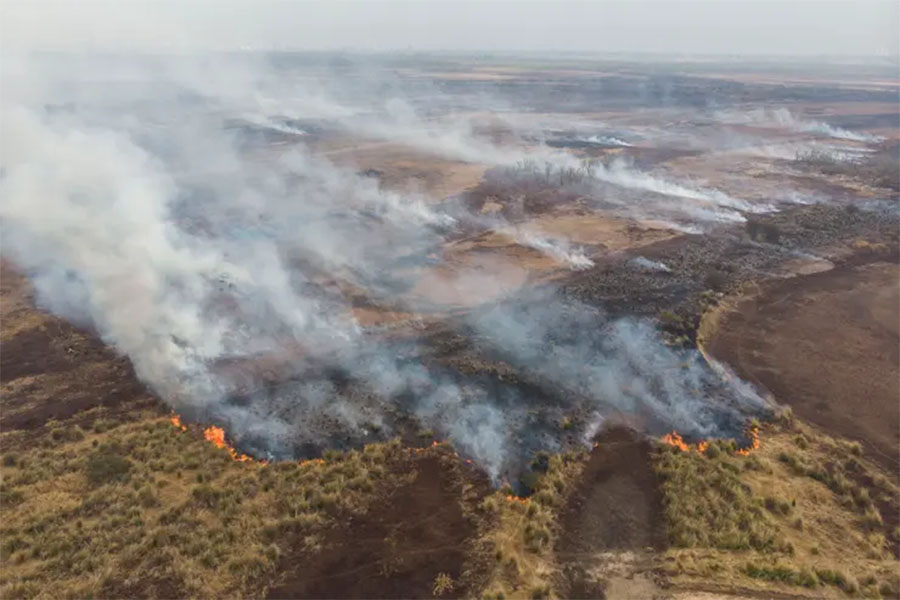 Los incendios en el Delta volvieron a reactivarse en varios municipios bonaerenses del norte de la Provincia.