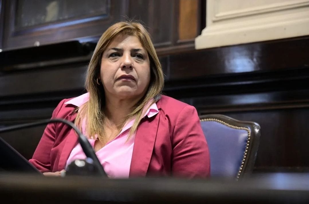 La diputada bonaerense mandato cumplido y referente de la UCR bonaerense, Sandra Paris, alertó por las elevadas cifras de femicidios.