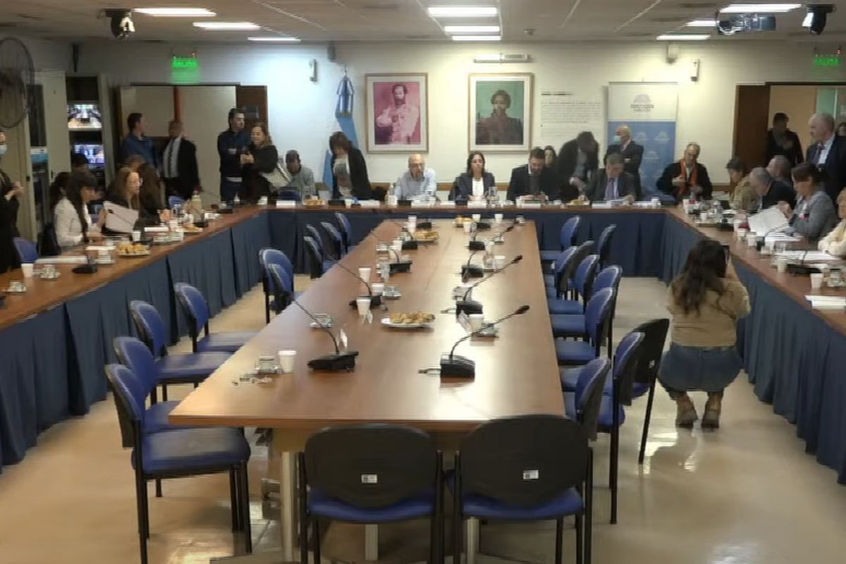 La comisión será presidida por Vanesa Siley y se realizará a partir de las 16 horas en el edificio anexo A de Diputados.