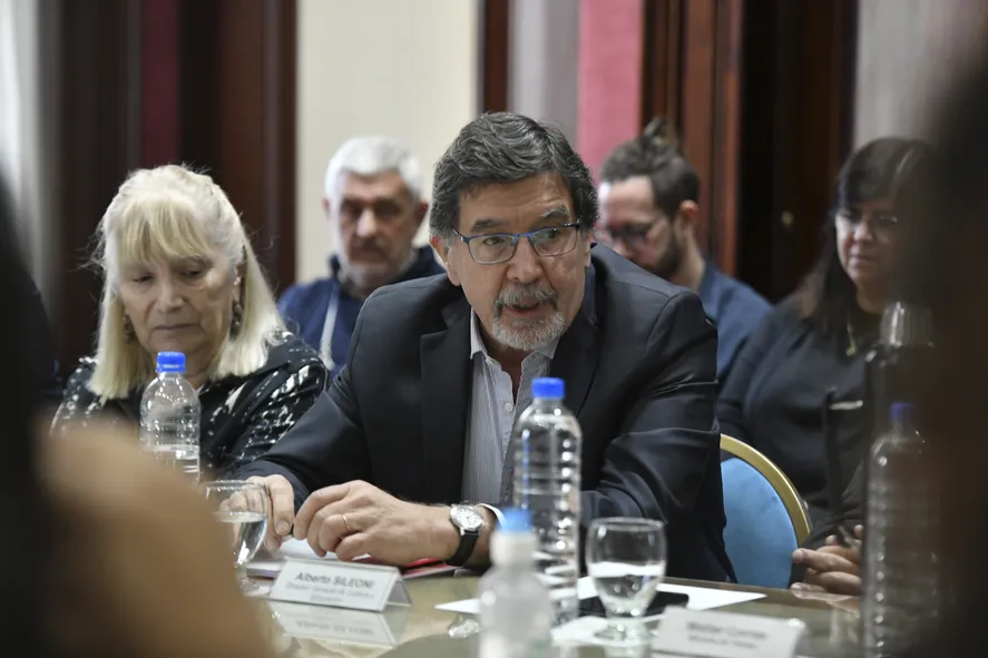 El director general de Cultura y Educación bonaerense, Alberto Sileoni, defendió esta mañana el Presupuesto en la Legislatura.
