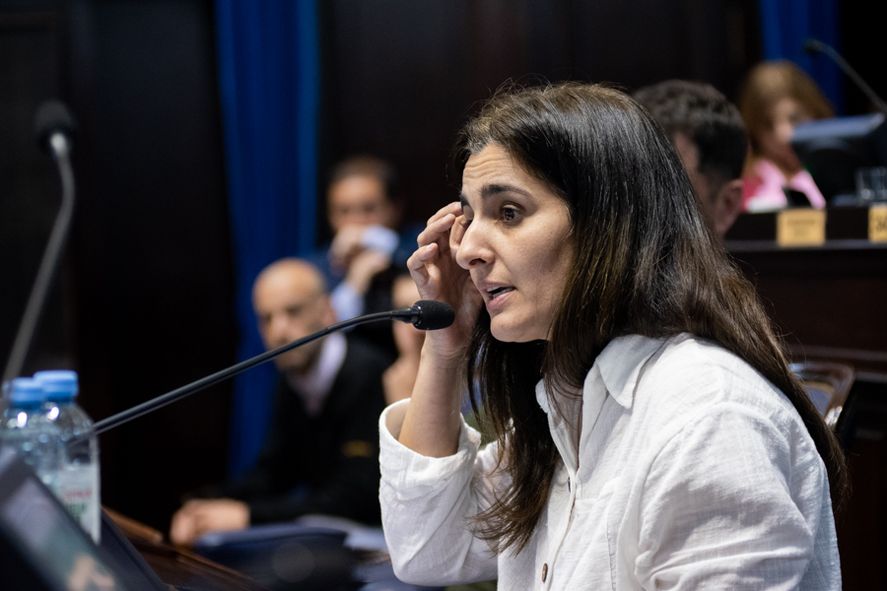 La diputada Ethecoin denunció que el narcotráfico en Rosario “viene creciendo desde hace 20 años".