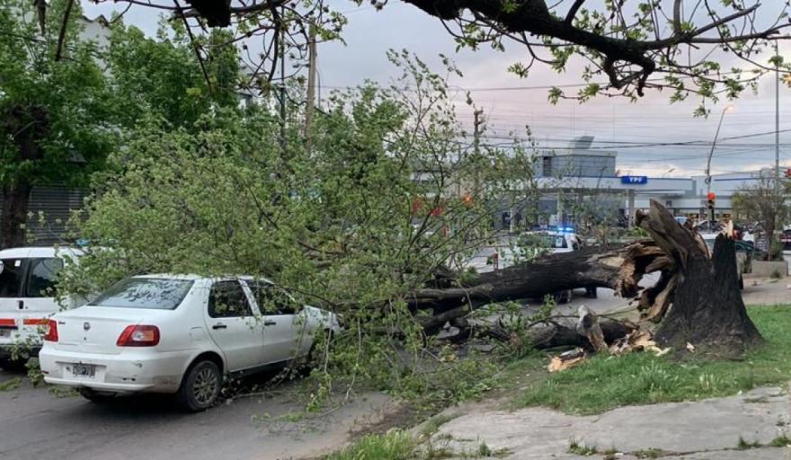 Las ráfagas de viento alcanzaron los 110 km/h en el partido de La Plata, lo que produjo varios complicaciones con los cortes de luz.