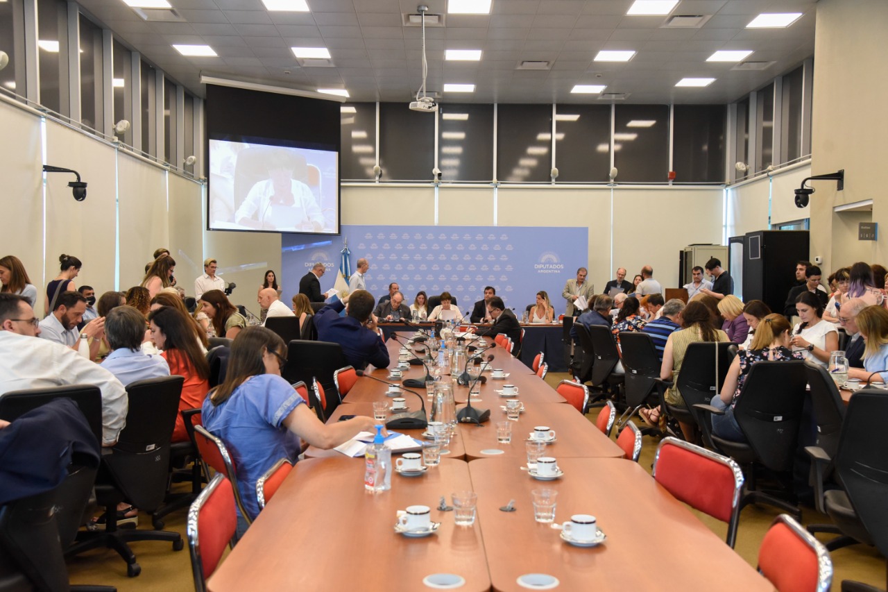 Cámara de Diputados nacional. La creación de universidades nacionales obtuvo dictamen esta semana. 